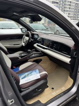 
										Geely Monjaro, 2023 full									