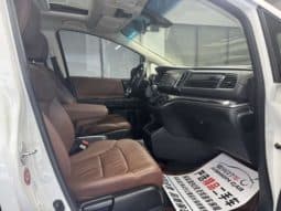 
										Honda Elysion, 2021 full									