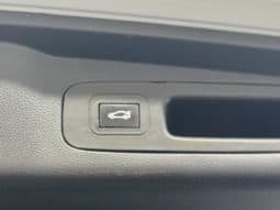 
										Honda Elysion, 2021 full									