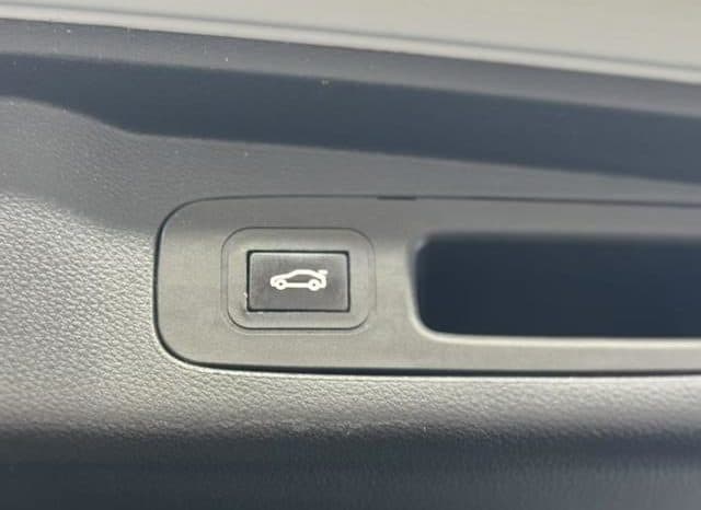 
								Honda Elysion, 2021 full									