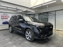 
										Geely Okavango (II), 2023 full									