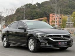 
										Volkswagen Passat, 2020 full									