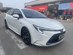 
										Toyota Levin, 2024 full									