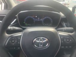 
										Toyota Levin, 2024 full									