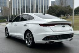 
										Hyundai Lafesta, 2020 full									