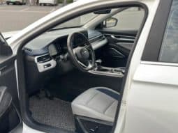 
										Geely Emgrand, 2021 full									