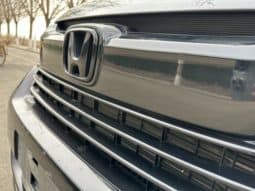 
										Honda Avancier (II), 2020 full									