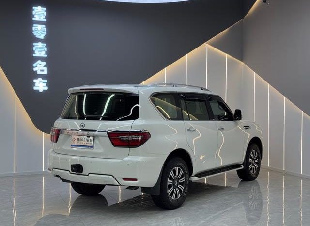 
								Nissan Patro (IV), 2020 full									