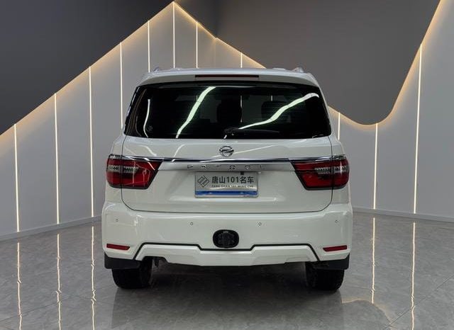 
								Nissan Patro (IV), 2020 full									