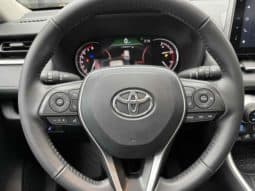 
										Toyota RAV4 (IV), 2022 full									