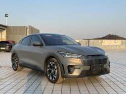 
										Ford Mustang Mach-E, 2022 full									