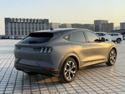 
										Ford Mustang Mach-E, 2022 full									