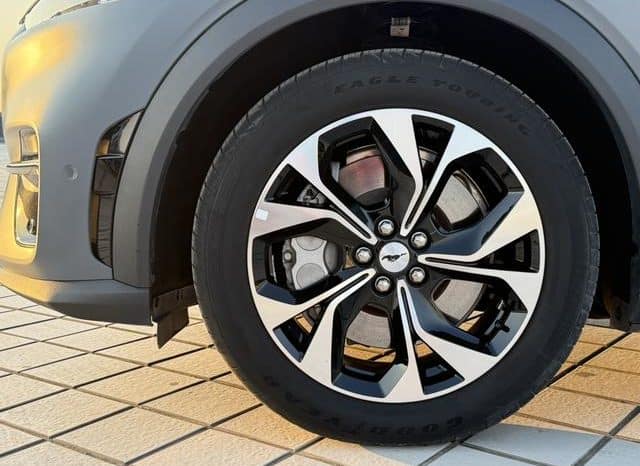 
								Ford Mustang Mach-E, 2022 full									