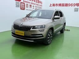Skoda Karoq, 2020