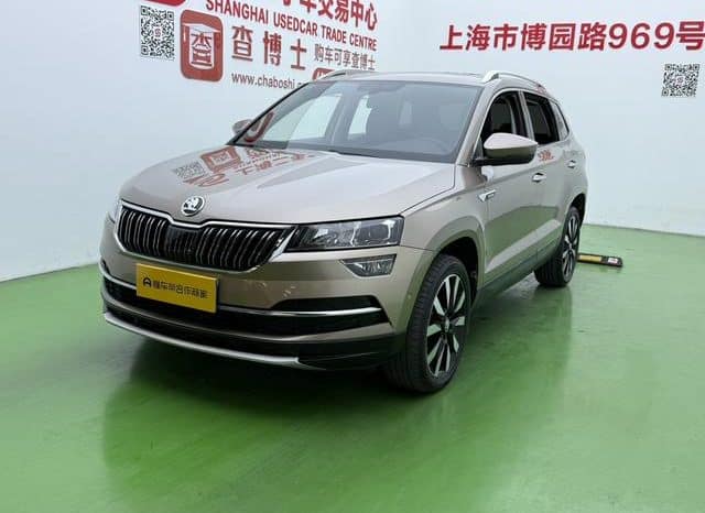 67dcc6dcef60b Skoda Karoq, 2020
