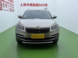 
										Skoda Karoq, 2020 full									