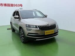 
										Skoda Karoq, 2020 full									