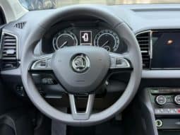 
										Skoda Karoq, 2020 full									