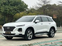 67dce1207cd3a Hyundai Santa Fe (III), 2021