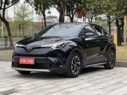 67dd17767b3f3 Toyota IZOA, 2020