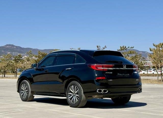 
								Honda Avancier (II), 2020 full									