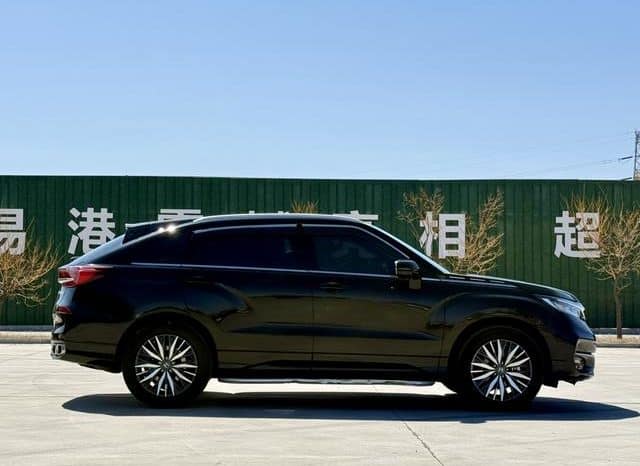 
								Honda Avancier (II), 2020 full									