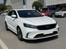 
										Geely Binrui, 2021 full									