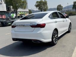 
										Geely Binrui, 2021 full									