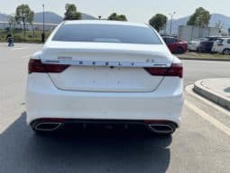 
										Geely Binrui, 2021 full									