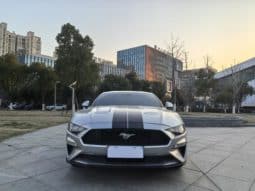 
										Ford Mustang (VI), 2020 full									