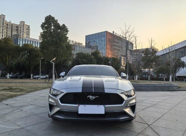 
								Ford Mustang (VI), 2020 full									
