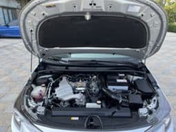 
										Toyota Levin, 2021 full									