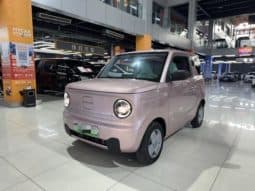 67dd4d151d28e Geely Panda, 2023