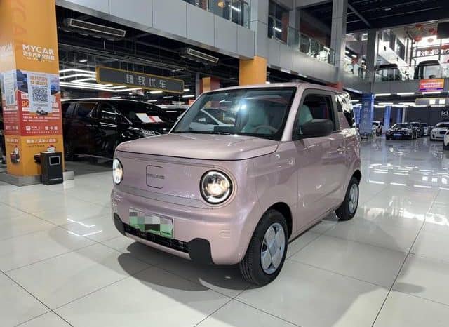67dd4d151d28e Geely Panda, 2023