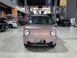 
										Geely Panda, 2023 full									