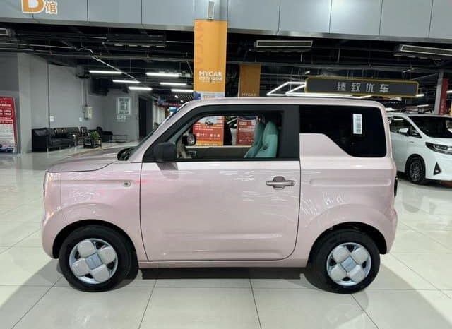 
								Geely Panda, 2023 full									