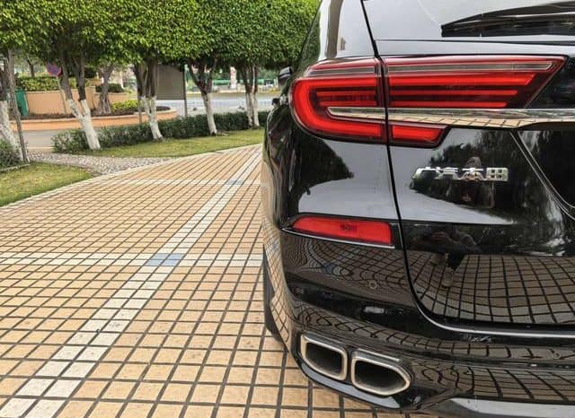 
								Honda Avancier (II), 2020 full									