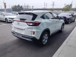 
										Honda XR-V, 2020 full									