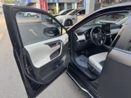 
										Toyota Wildlander, 2020 full									