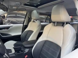 
										Toyota Wildlander, 2020 full									
