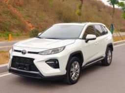 67dd6b15502f0 Toyota Wildlander, 2022