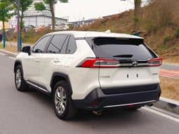 
										Toyota Wildlander, 2022 full									