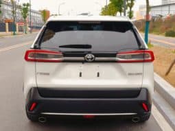 
										Toyota Wildlander, 2022 full									