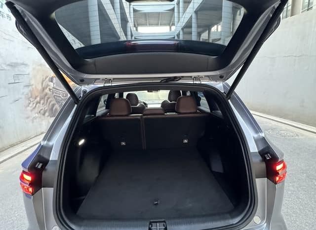 
								Geely Monjaro, 2022 full									
