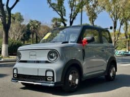 67dd8e7124c4c Geely Panda, 2025