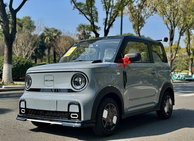 67dd8e7124c4c Geely Panda, 2025