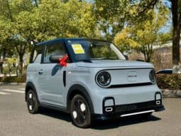 
										Geely Panda, 2025 full									