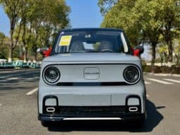 
										Geely Panda, 2025 full									