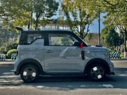 
										Geely Panda, 2025 full									