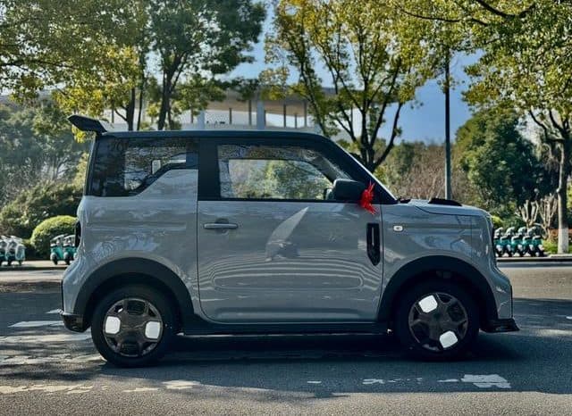 
								Geely Panda, 2025 full									